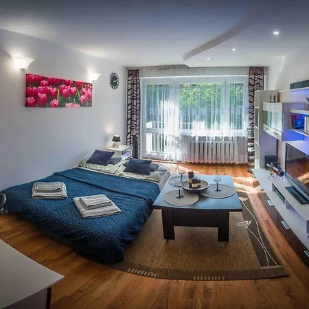 Komfortowy Apartament Seven Niedaleko Centrum * Olsztyn (Warmian-Masurian)