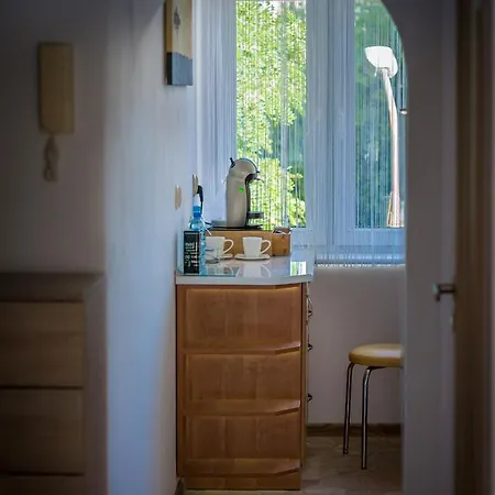 Komfortowy Apartament Seven Niedaleko Centrum شقة أولشتين