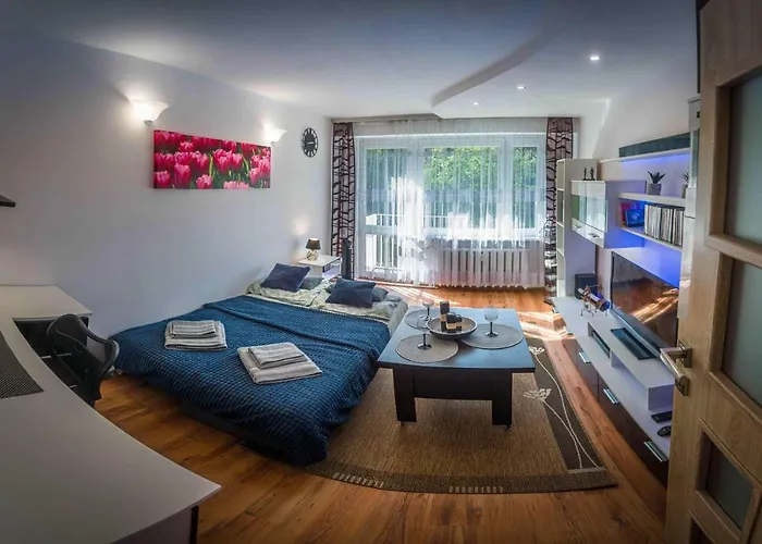 Komfortowy Apartament Seven Niedaleko Centrum * Olsztyn (Warmian-Masurian)